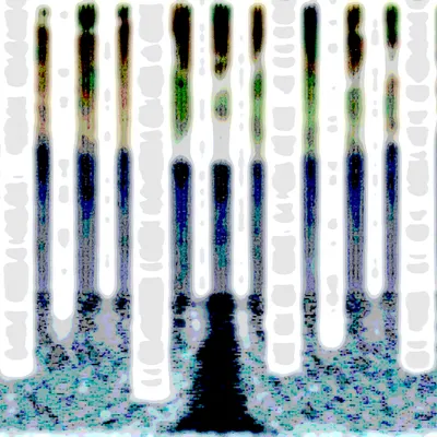 #2000153