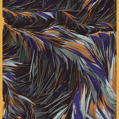 #21000030