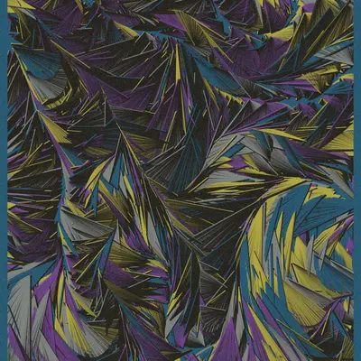 #21000093