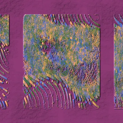 #269000005