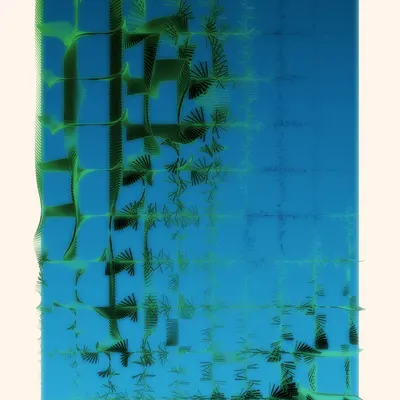 #290000002