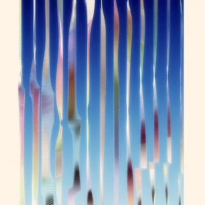 #290000017