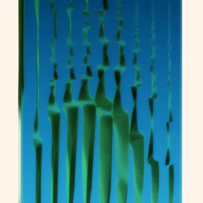 #290000031