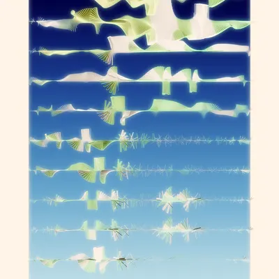 #290000051