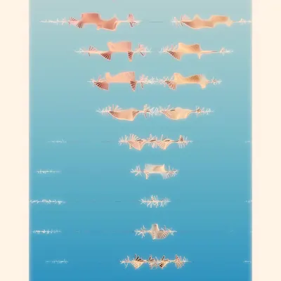 #290000080