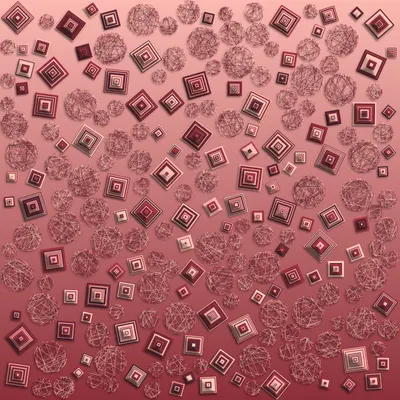 #295000011