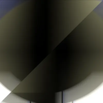 #3000006