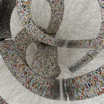 #310000002