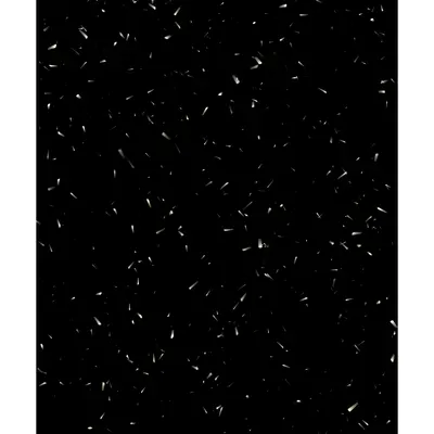 #39000013