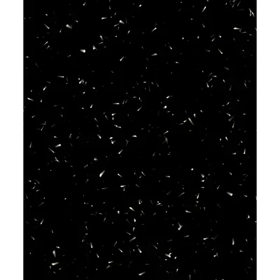 #39000025