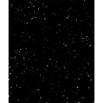 #39000026