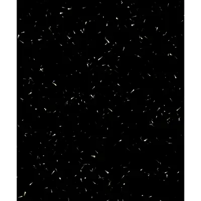 #39000033