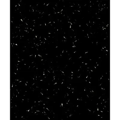 #39000046