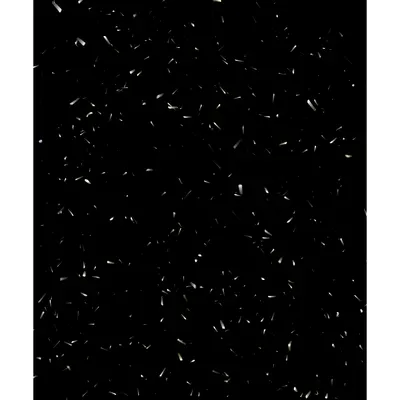 #39000066