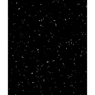#39000069