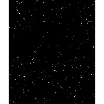 #39000081