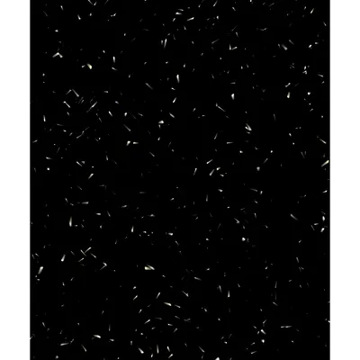 #39000091