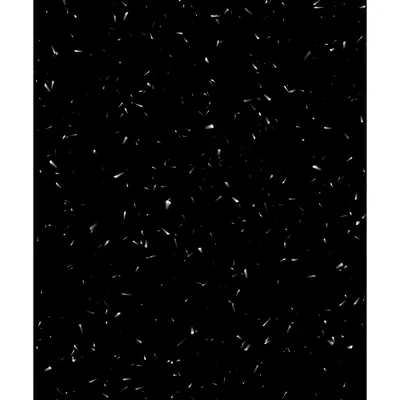#39000092