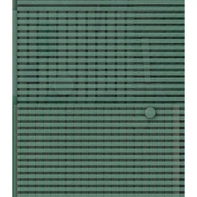 #42000007