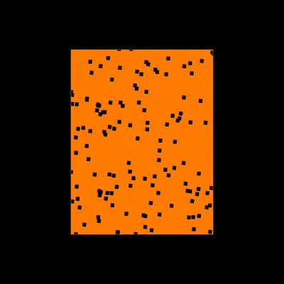 #43000025