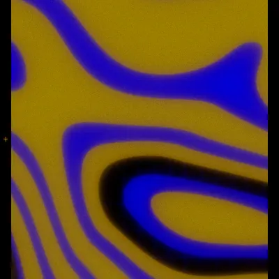 #6000156