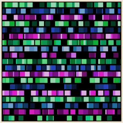 #65000061