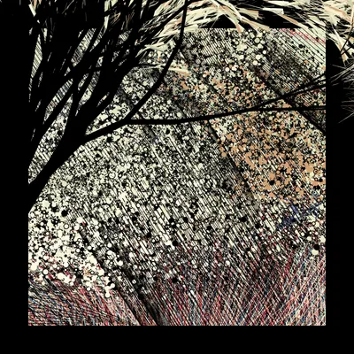 #69000055