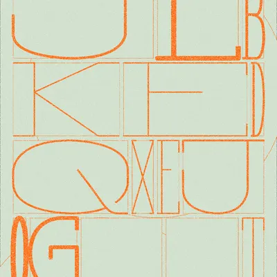 #81