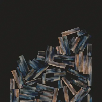 #10000015