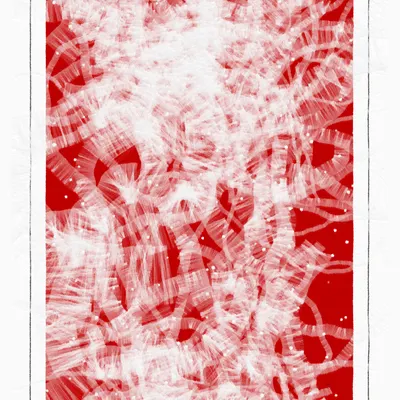 #1000006