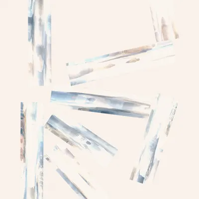 #10000061