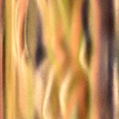 #12000016