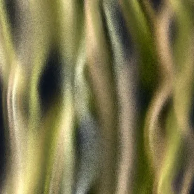 #12000029