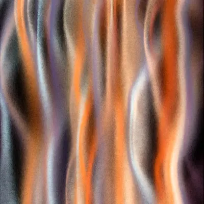 #12000041
