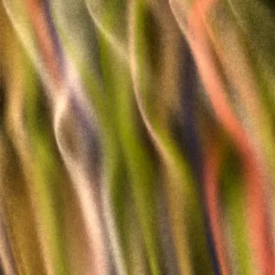 #12000070