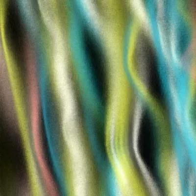 #12000081