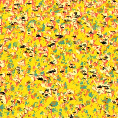 #13000049