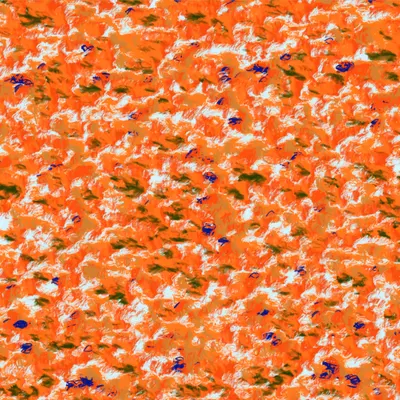 #13000113