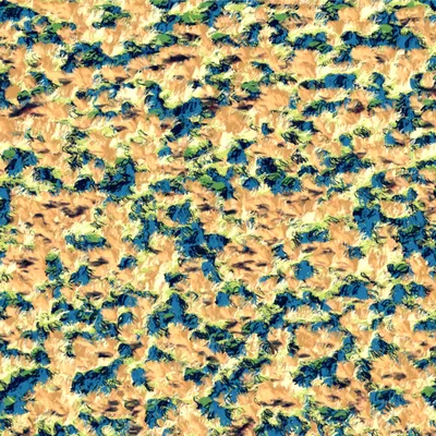 #13000161