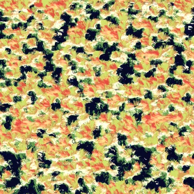 #13000216
