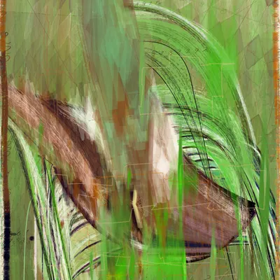 Algorithmic Synesthesia CC #260
