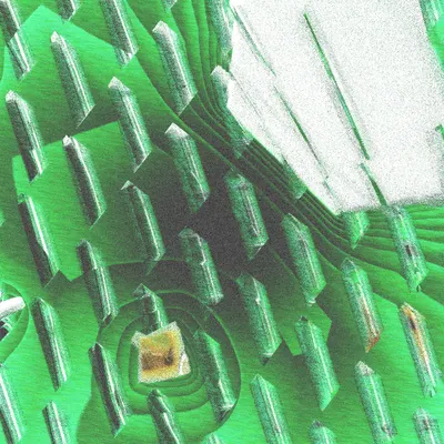 #12000024