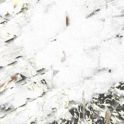 #12000028