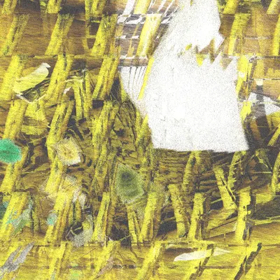 #12000039