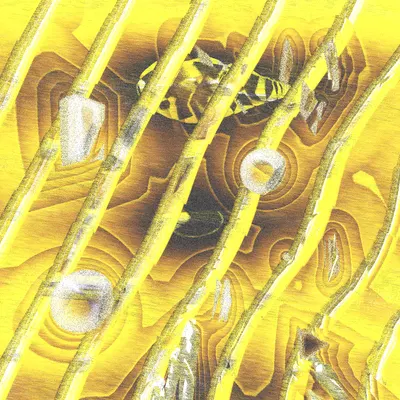 #12000051