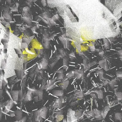 #12000058