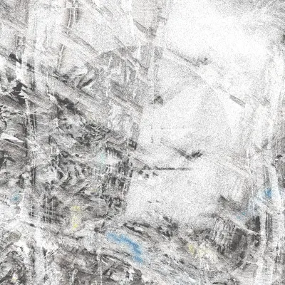 #12000095