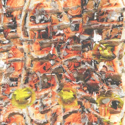 #12000096