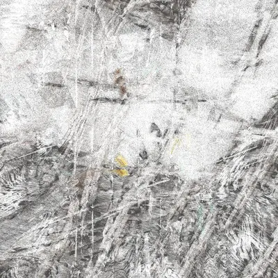 #12000118