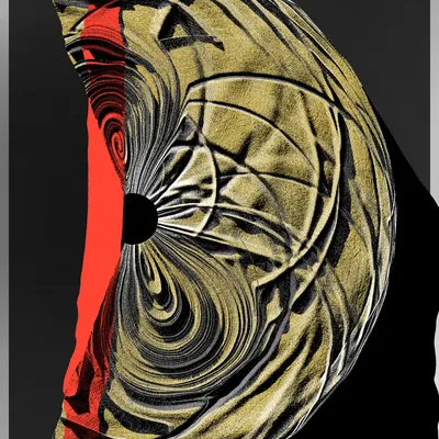 #5000194